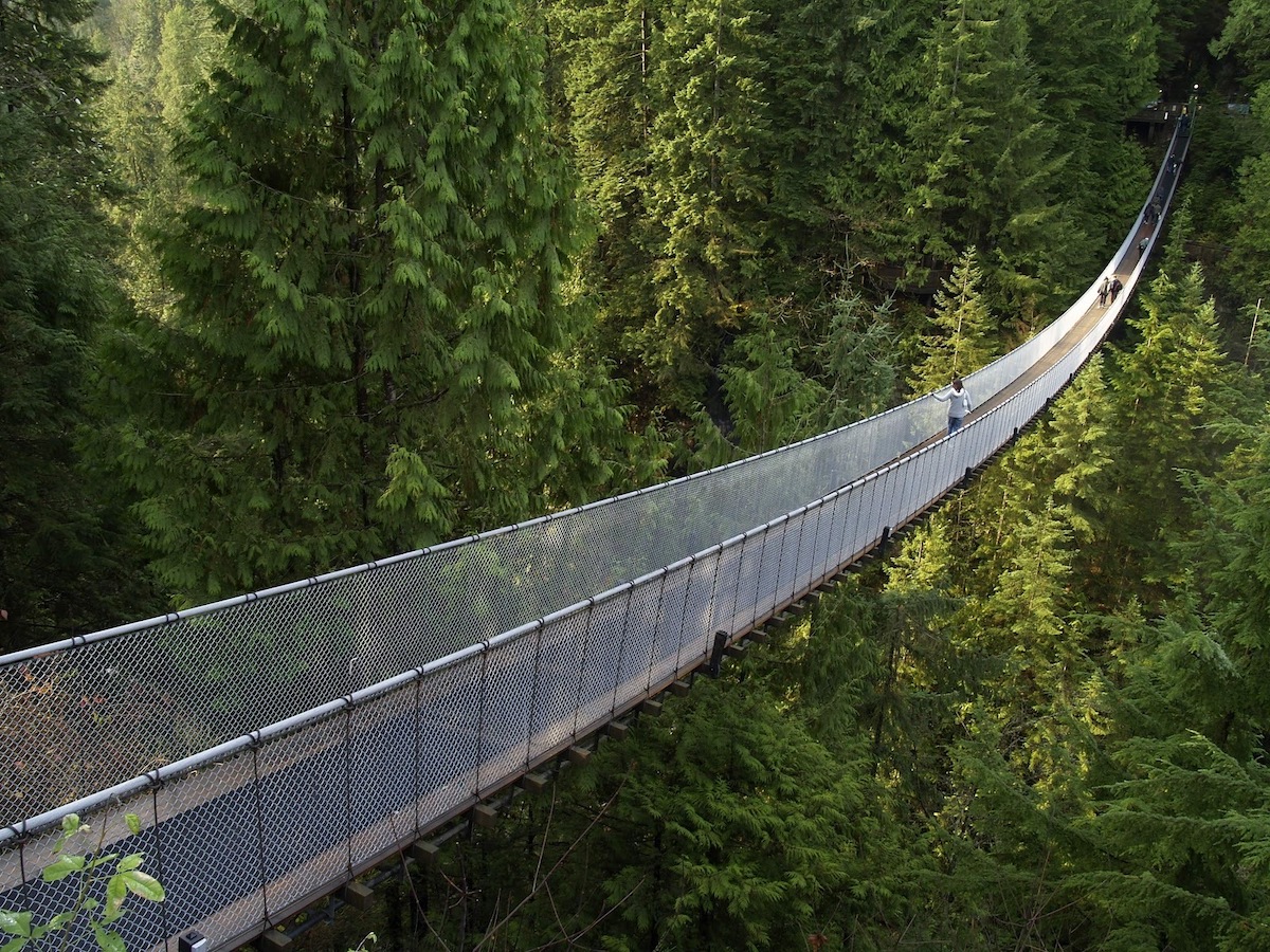 brdge bridge